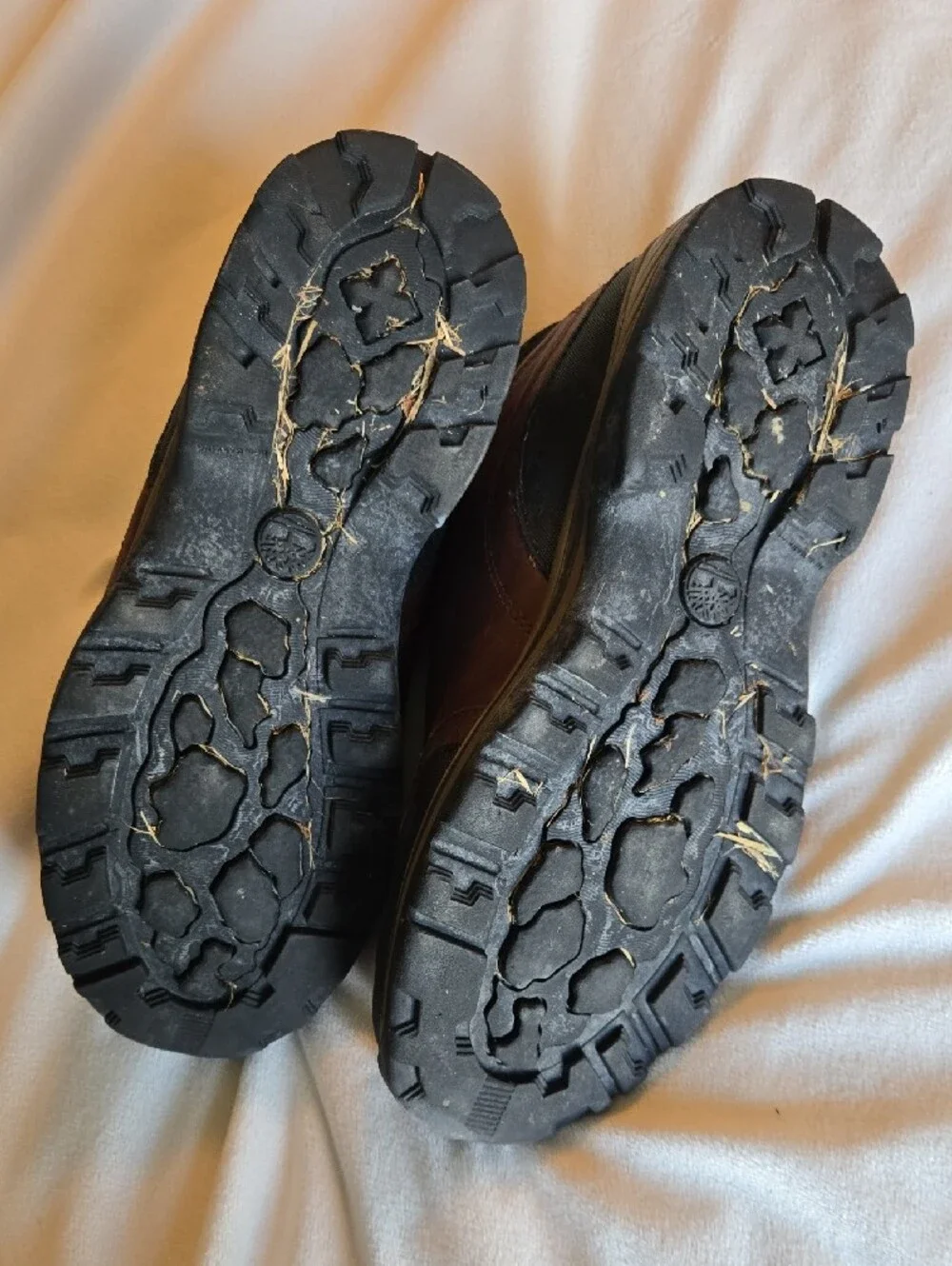Timberland sturdy leather